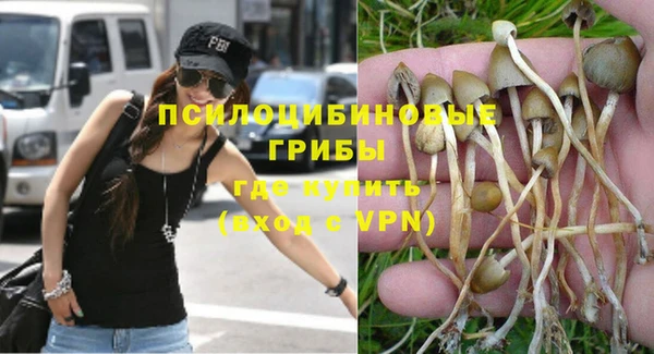 тгк Гусиноозёрск