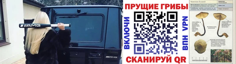 купить наркотики цена  Горбатов  Галлюциногенные грибы GOLDEN TEACHER 