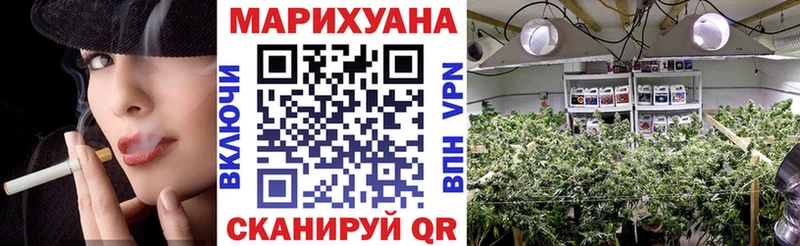 Канабис планчик Горбатов